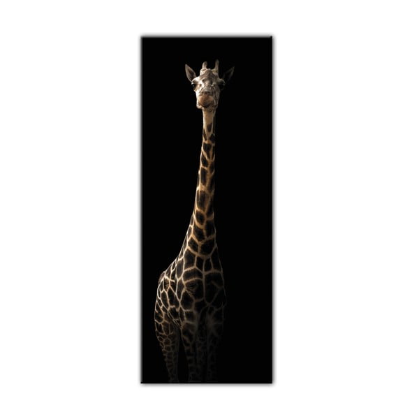 Immagine Glas Animali , 50 x 125 cm Gira - Styler