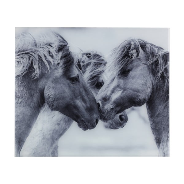 Rivestimento in vetro grigio per stufa , 60 x 50 cm Horses - Wenko