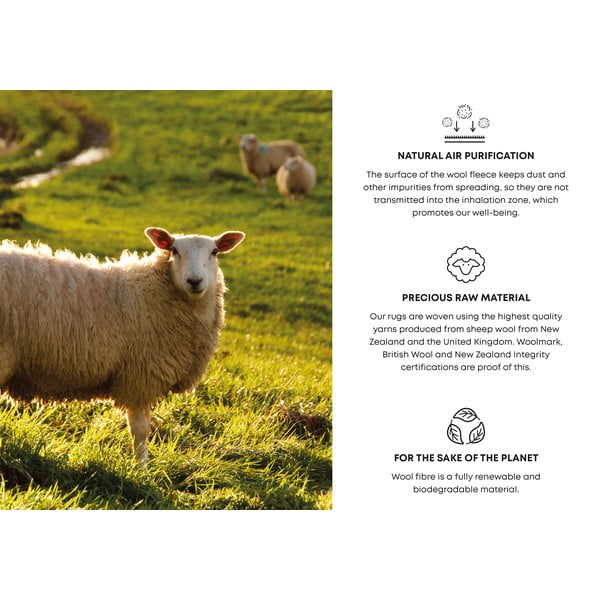 Tappeto in lana grigio scuro 200x300 cm Bran - Agnella-image-4