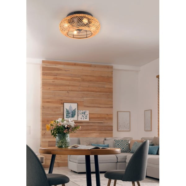 Plafoniera marrone con telecomando e ventilatore Lillesand – Trio-image-2