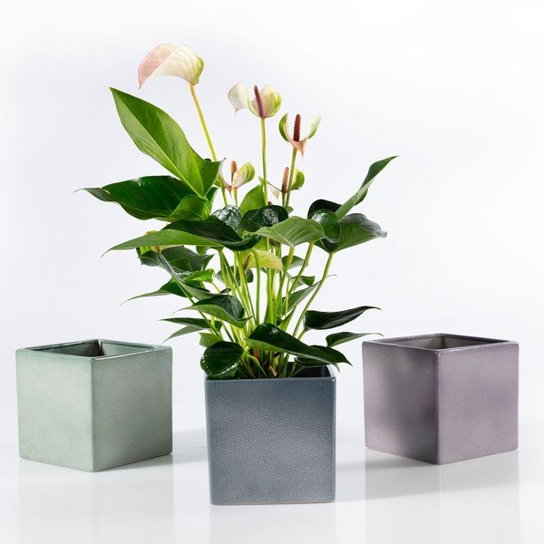 Coprivaso in ceramica Latina - Big pots-image-2