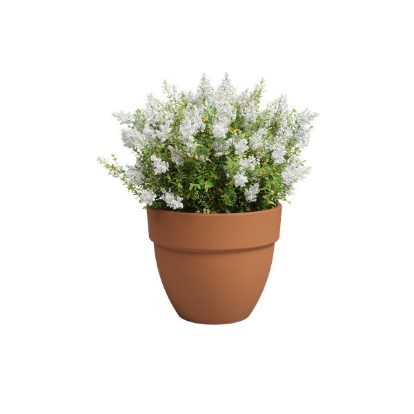 Vaso in terracotta ø 40 cm Amalia Campana - Artevasi-image-2