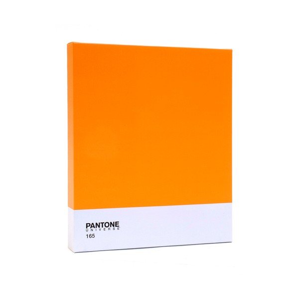Obraz Pantone 166