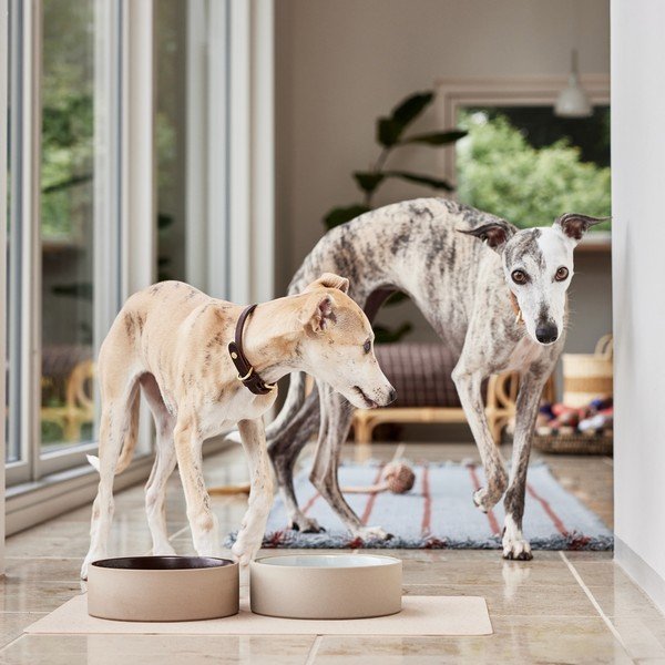 Ciotola in ceramica per cane ø 17 cm Sia – OYOY Living Design-image-1