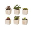Piante artificiali in set da 6 (altezza 9,5 cm) Cactus - Casa Selección