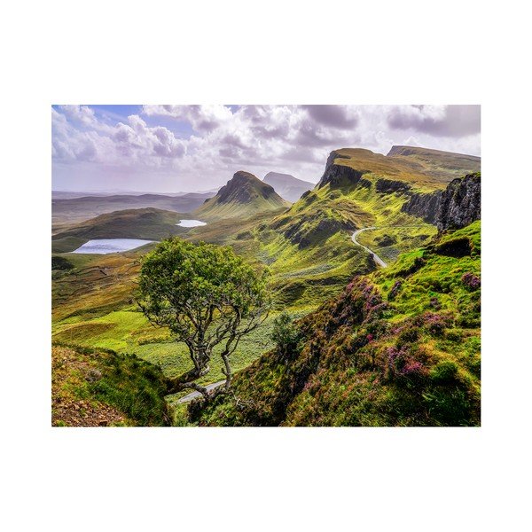 Quadro su tela Scotland Nature, 85 x 113 cm - Styler-image-1