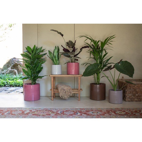 Coprivaso in ceramica ø 25 cm Fortuna – Artevasi-image-1