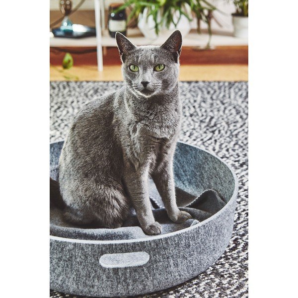 Cesto per giocattoli per animali domestici ø 46x12 cm Cesto Concrete - MiaCara-image-2