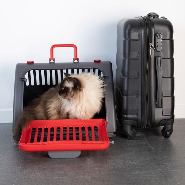 Trasportino grigio per animali domestici 35x46 cm – Love Story-image-4