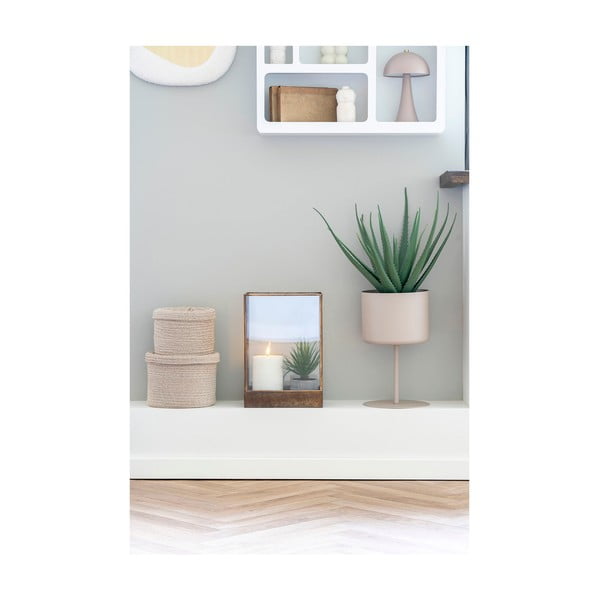 Pianta artificiale (altezza 51 cm) Aloe Vera - House Nordic-image-2