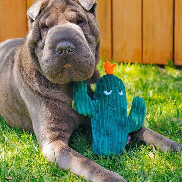Giocattolo per cane Cactus - P.L.A.Y.-image-1