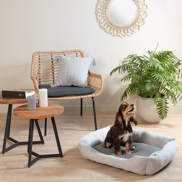 Cuccia grigio chiaro per cane 60x48 cm Graphene – Love Story-image-1
