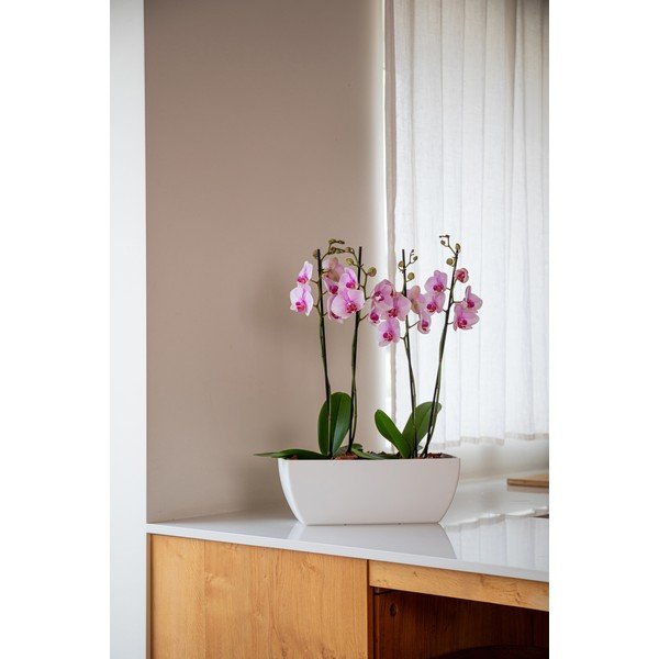 Fioriera in plastica riciclata 30 cm Siena – Artevasi-image-1