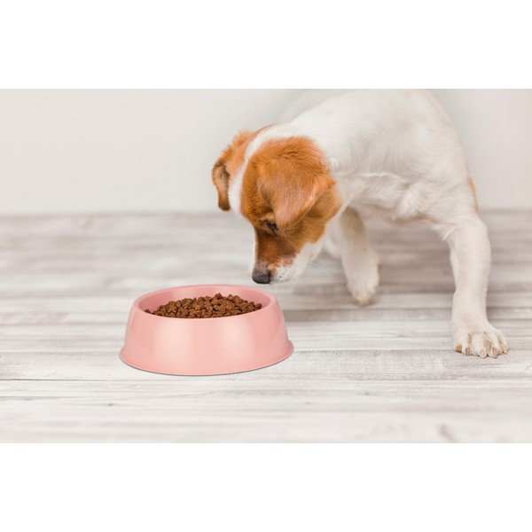 Ciotola per cani rosa , ø 21,5 cm - Petpetite-image-1