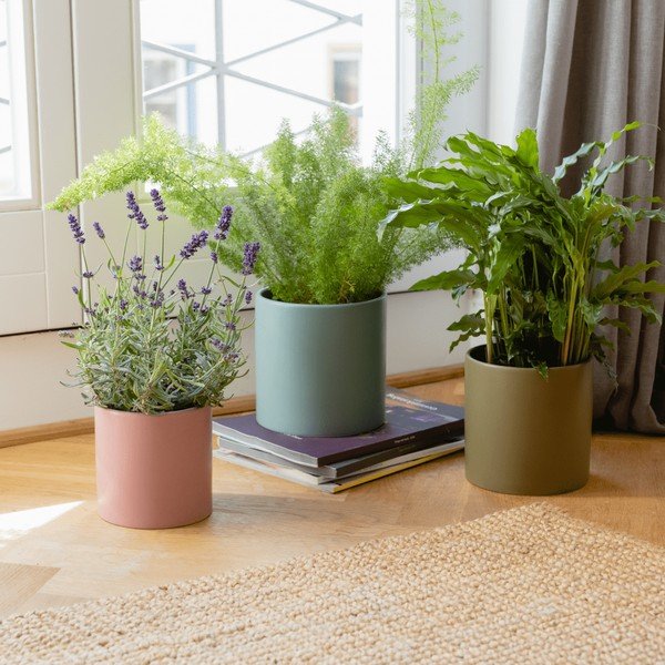 Contenitori in porcellana per vasi di erbe aromatiche in set da 3 pezzi ø 17 cm Turin - Remember-image-1