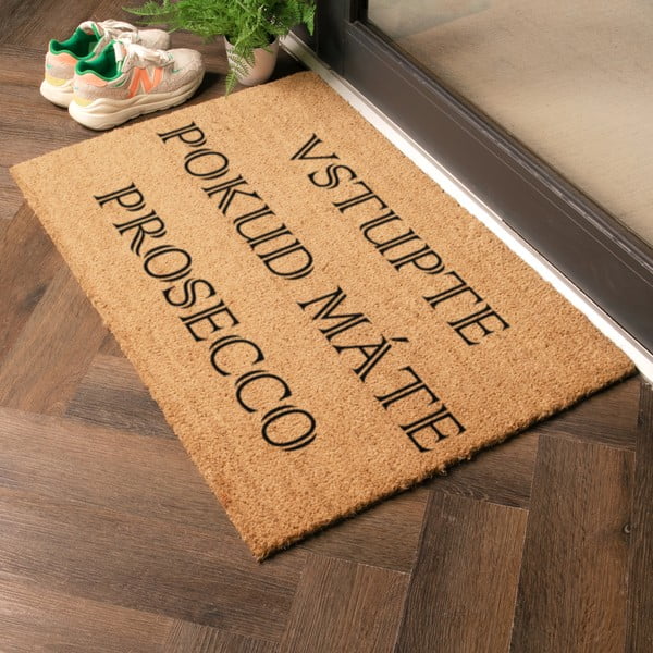 Zerbino in cocco 40x60 cm Prosecco - Artsy Doormats-image-1