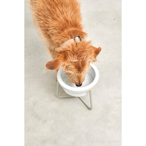 Ciotola con supporto in porcellana per cane ø 20 cm Pranzo Greige M – MiaCara-image-3