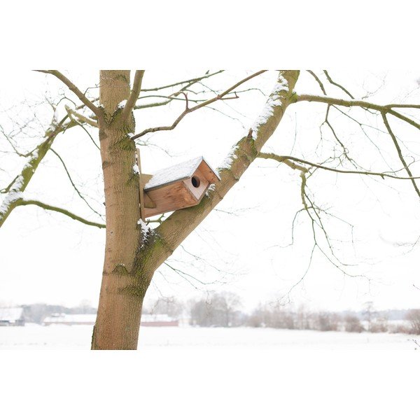 Scatola di gufi in legno - Esschert Design-image-2