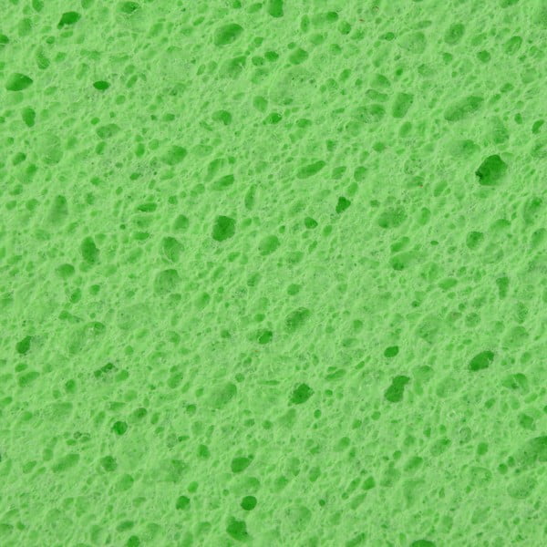 Spugne per piatti in set da 16 - Homéa-image-3