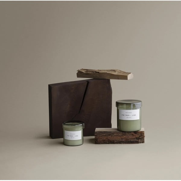 Candela in cera di soia profumata tempo di combustione 45 h Valoa Fig Tree – Lime – Blomus-image-1