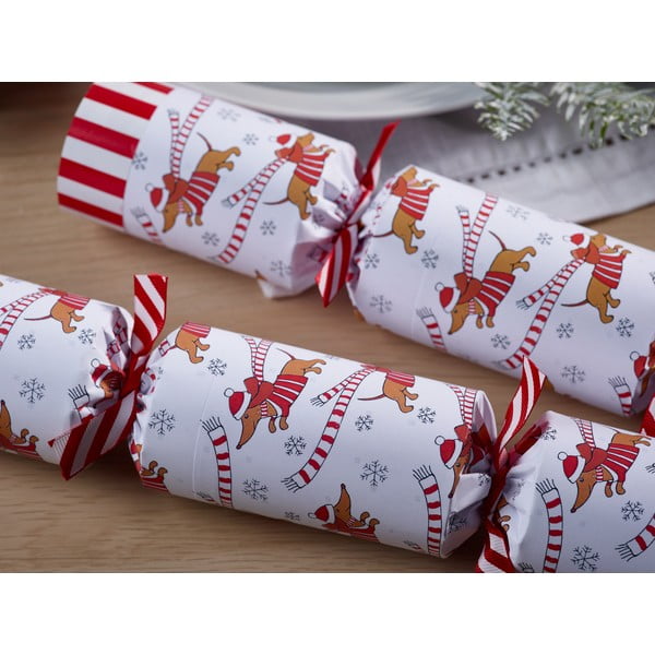 Set di cracker natalizi 6 pz Racing Sausage Dog – Robin Reed-image-2