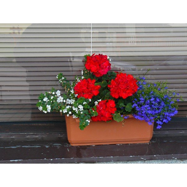 Fioriera marrone autoinnaffiante, lunghezza 60 cm Siesta - Plastia-image-1
