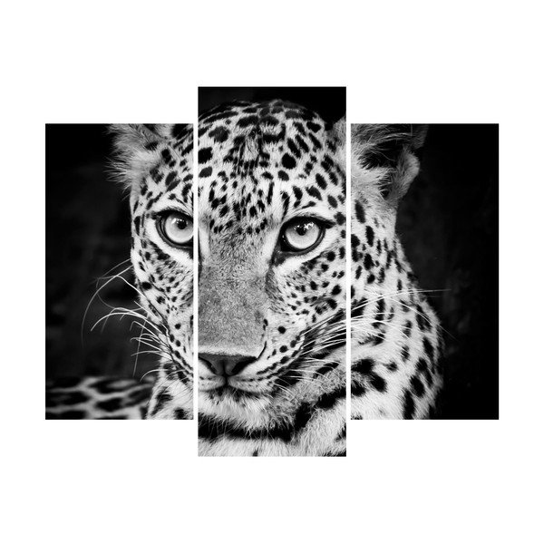 Samolepka Ambiance Leopard-image-2