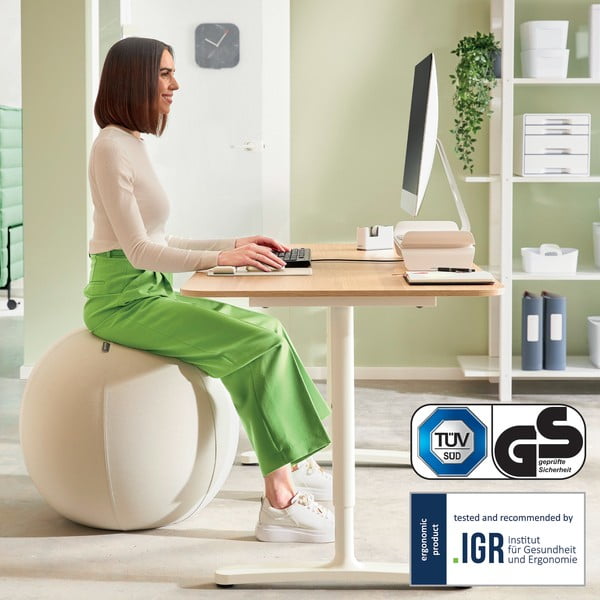 Sfera di seduta ergonomica con pesi ø 75 cm Ergo - Leitz-image-4
