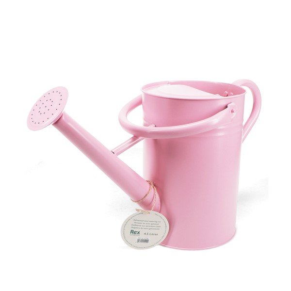 Annaffiatoio in metallo 4,5 l – Rex London-image-2