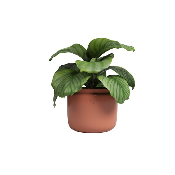 Vaso in ceramica fatto a mano ø 20 cm Astrea - Artevasi-image-4