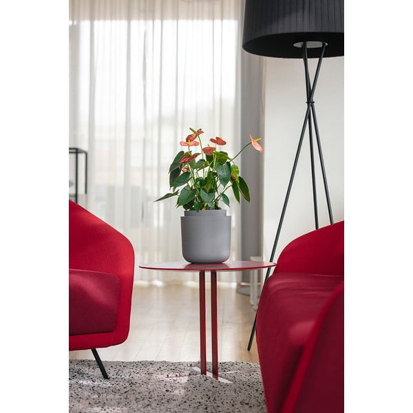 Vaso autoinnaffiante in plastica ø 19 cm Tolita - Plastia-image-2