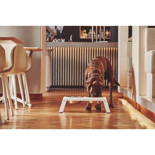 Set di ciotole in metallo con base rialzata per cani Desco White M - MiaCara-image-1