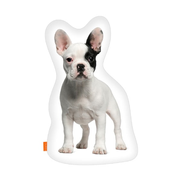 Cuscino Bulldog francese, 40x30 cm - Blanc