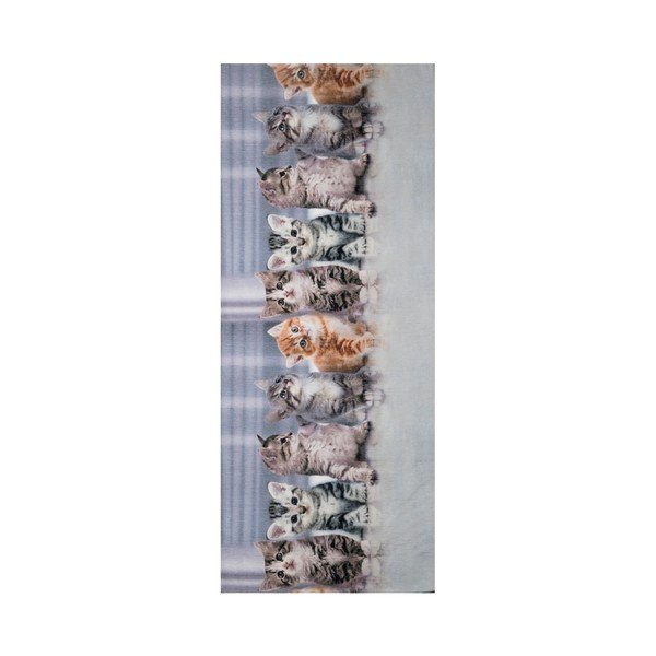 Corridore Gatti, 58 x 240 cm - Floorita