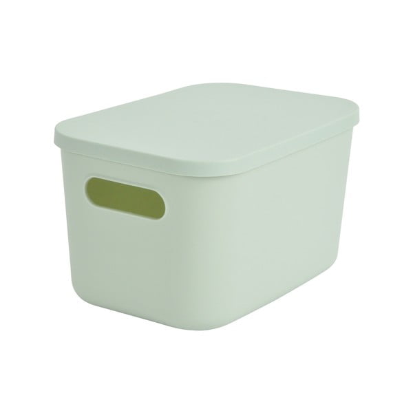 Scatola con coperchio in verde chiaro in plastica 24,5x18x15 cm – Homéa