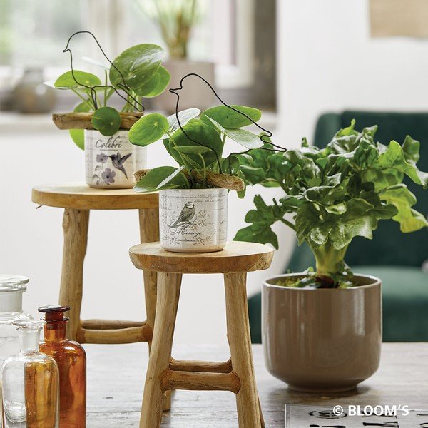 Vaso in ceramica marrone Bari, ø 19 cm - Big pots-image-1