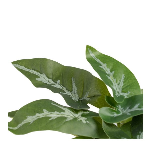 Pianta artificiale (altezza 21 cm) Syngonium - Ixia-image-2