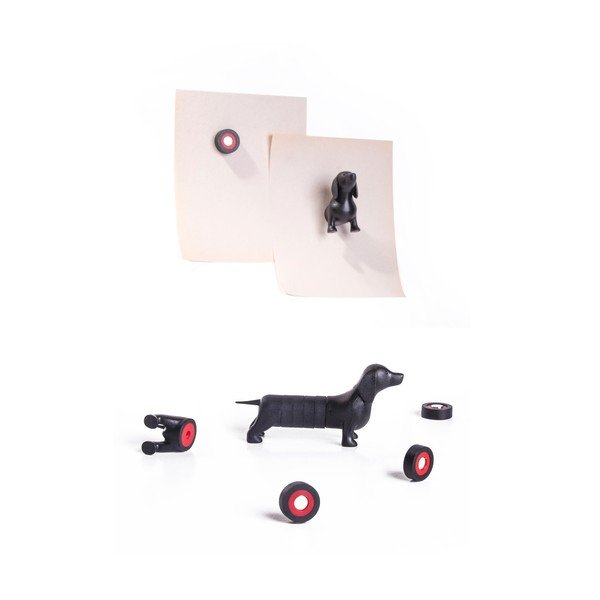 Sada magnetů Qualy&CO Magnetic Dog-image-3