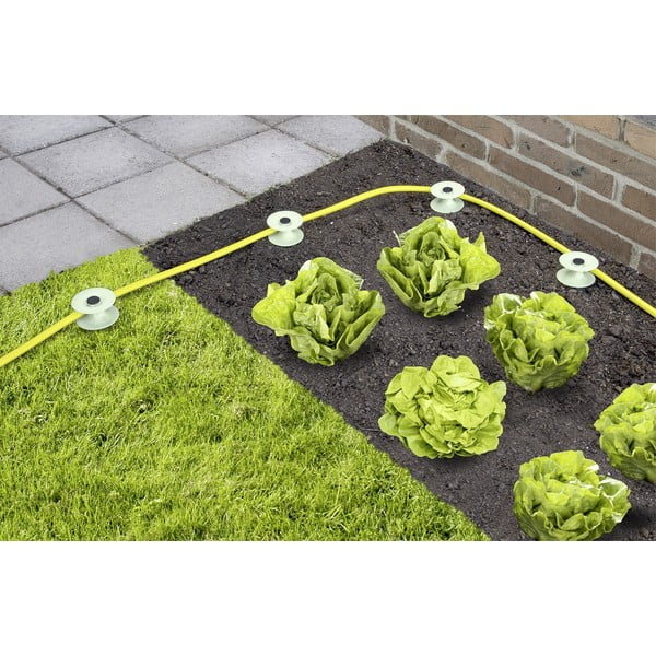 Portagomma in set da 2 - Maximex-image-1