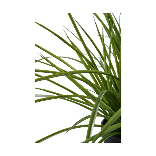 Erba artificiale (altezza 45 cm) - House Nordic-image-3