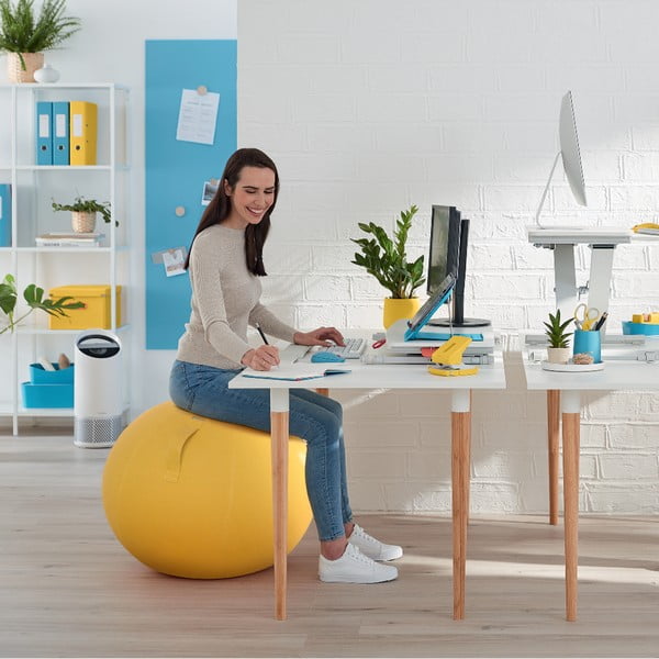 Sfera di seduta ergonomica ø 65 cm Ergo - Leitz-image-4