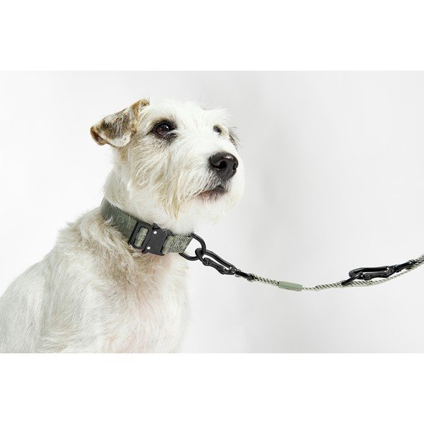 Collare grigio scuro taglia L/XL lunghezza 40 cm Modena Asphalt L/XL - MiaCara-image-1