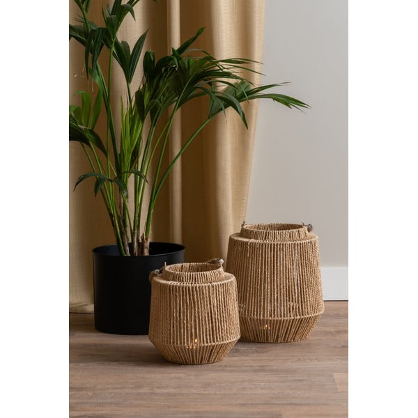 Erba medica - PT LIVING-image-1
