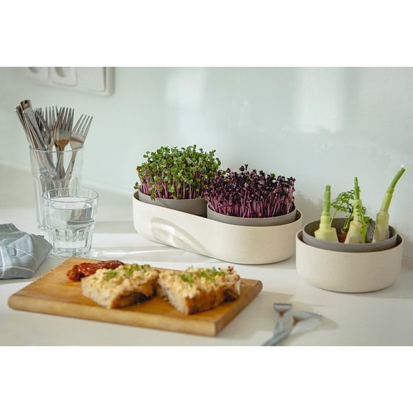 Ciotola in plastica per germogliare le erbe ø 16 cm Regrow - Plastia-image-4