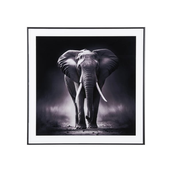 Dipinto 50x50 cm Elephant - PT LIVING