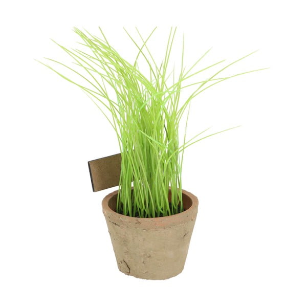 Pianta artificiale (altezza 27 cm) Chives - Esschert Design-image-3
