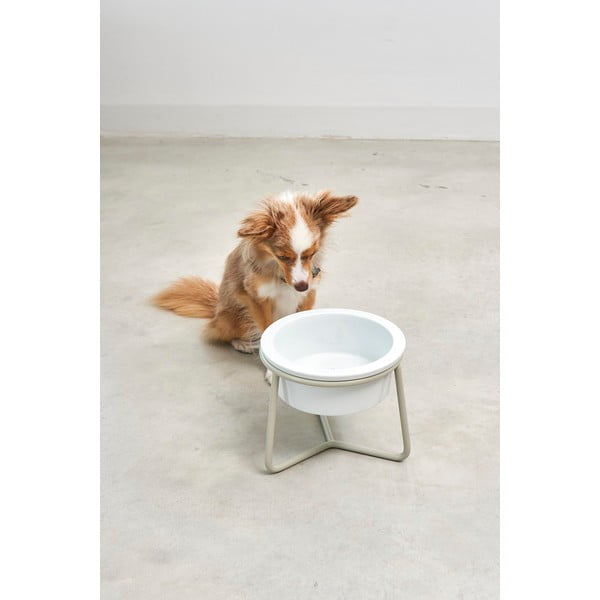 Ciotola con supporto in porcellana per cane ø 20 cm Pranzo Greige M – MiaCara-image-1
