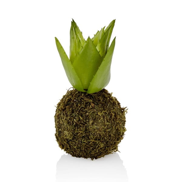 Kokedama artificiale con succulente Succu - The Mia