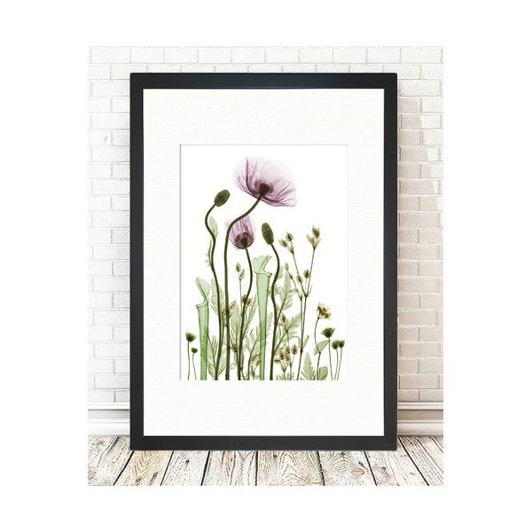Immagine , 24 x 29 cm Wild Plants - Tablo Center-image-1