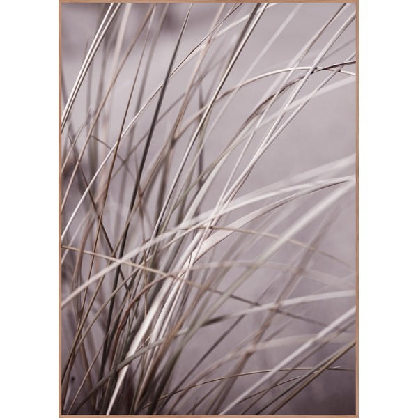 Poster con cornice 50x70 cm Mellow Grasses 1 - Malerifabrikken